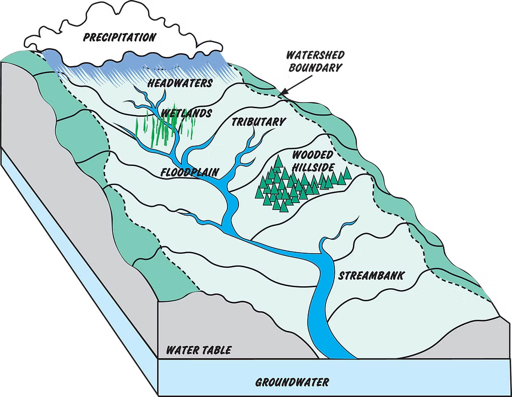 Diagram showing how precipitation, tributaries, wetlands, floodplains, groundwater, and streambanks form a watershed